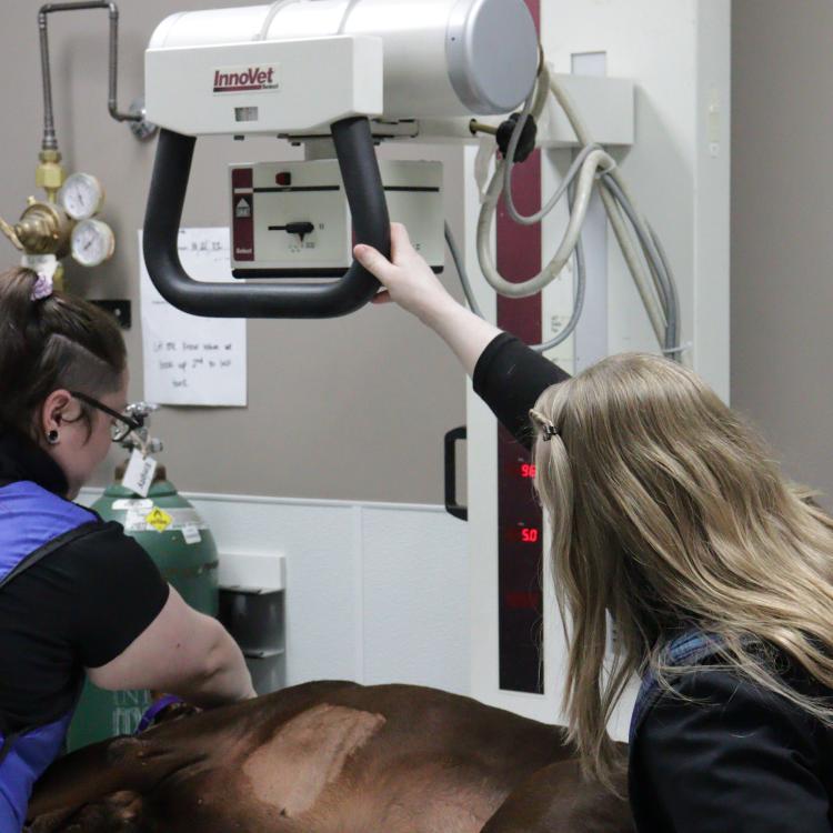 practice gallery photo