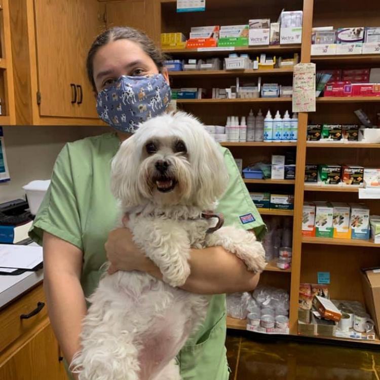 RaytownGregory Animal Health Center, Inc. Raytown, MO