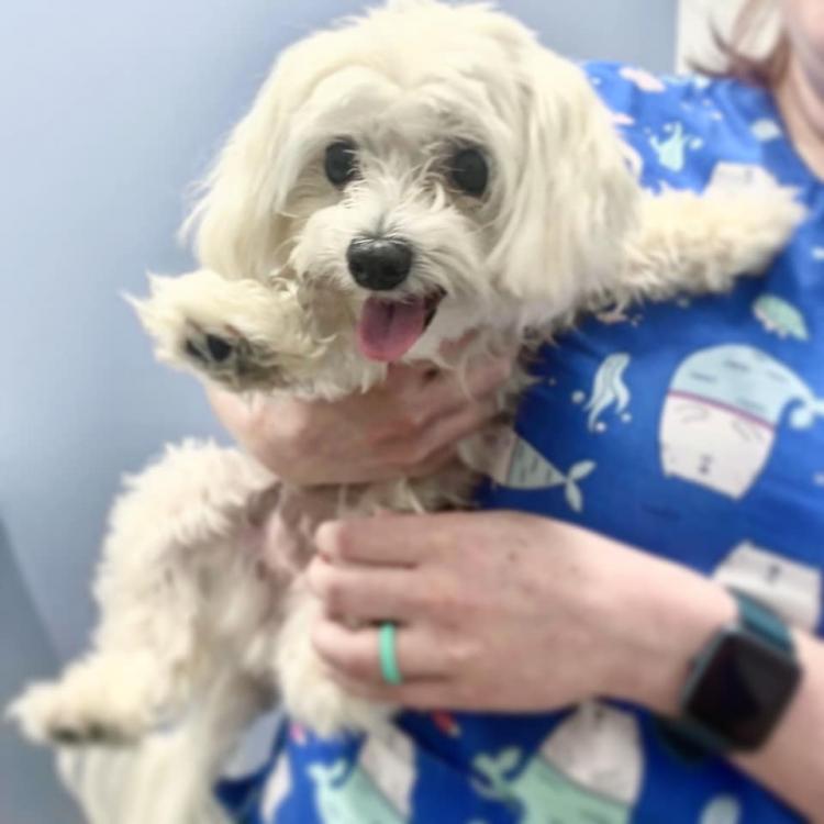 River�s Edge Animal Hospital Rock Hill, SC