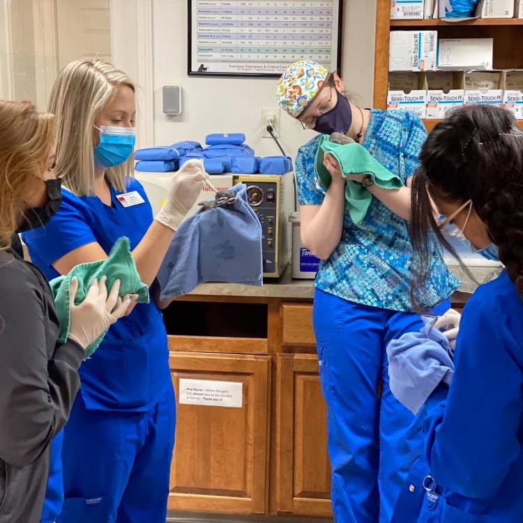 All Pets Animal Hospital – Rogers, AR