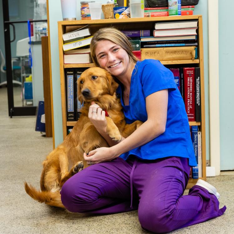 Happy Tails Veterinary Hospital Shrewsbury Nj