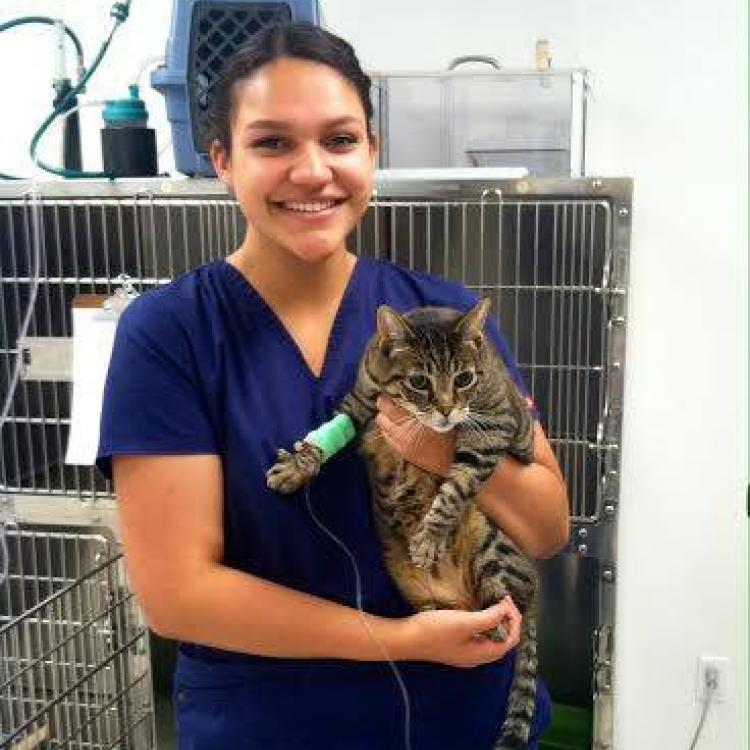 Southwest animal emergency clinic hot sale