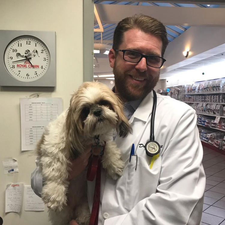 pet vet huntington beach