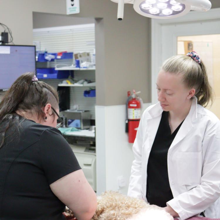 practice gallery photo