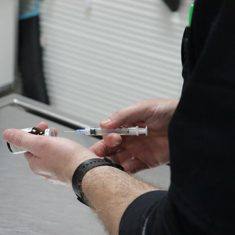 practice gallery photo
