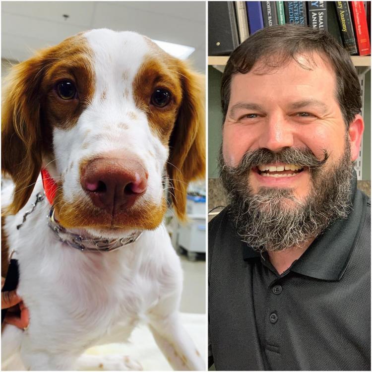 Veterinary Specialty Services West O Fallon, MO