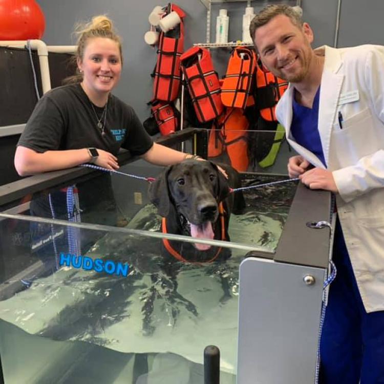 Veterinary Specialty Services West O Fallon, MO