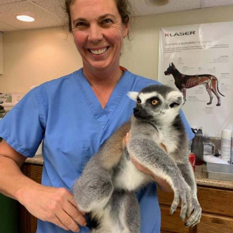 Brown Veterinary Services