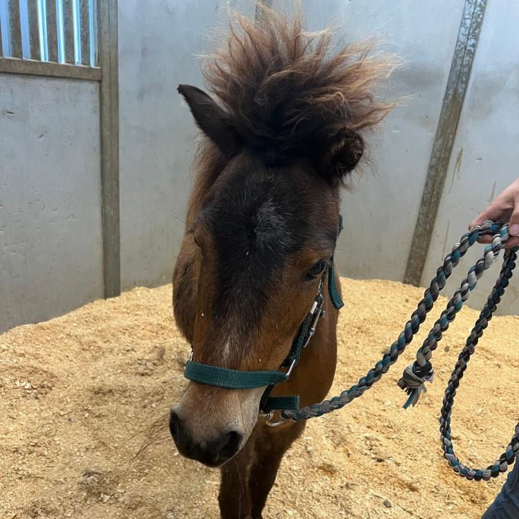 practice gallery photo