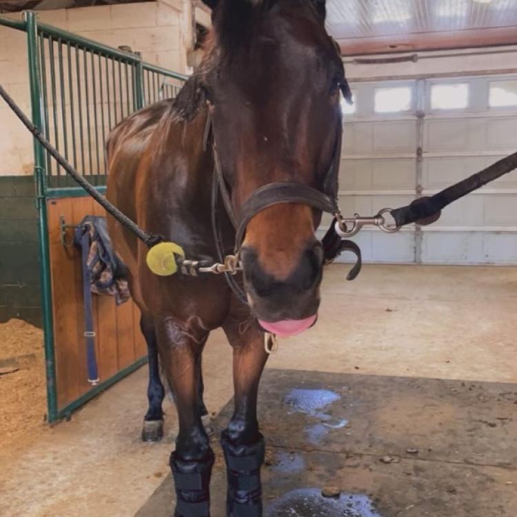 practice gallery photo