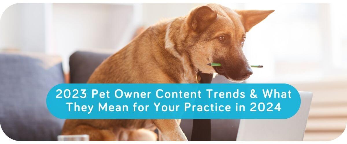 2023 Pet Owner Content Trends & What They Mean for Your Practice in 2024