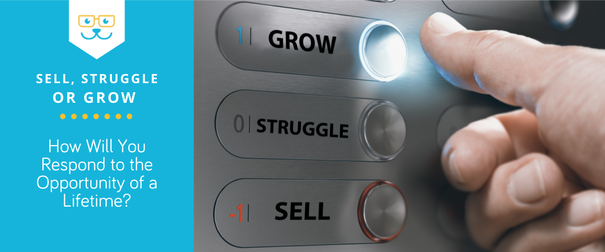 Sell, Struggle, or Grow - How Will You Respond to the Opportunity of a Lifetime?