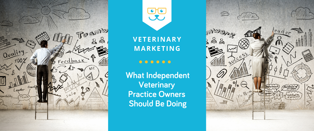 veterinary industry downturn and tips on how to handle it