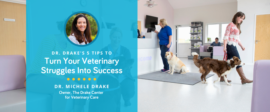 Dr. Drake's 5 Tips For Veterinary Success
