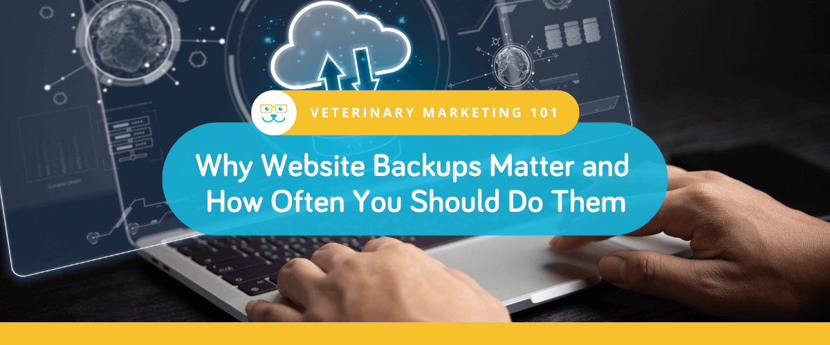 Why Website Backups Matter and How Often You Should Do Them