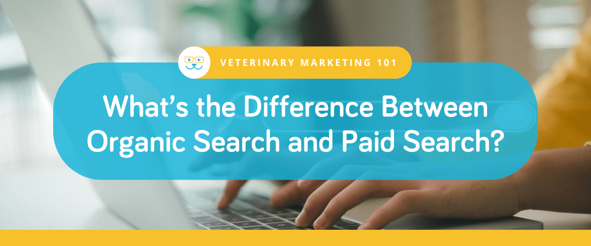 What’s the Difference Between Organic Search and Paid Search?