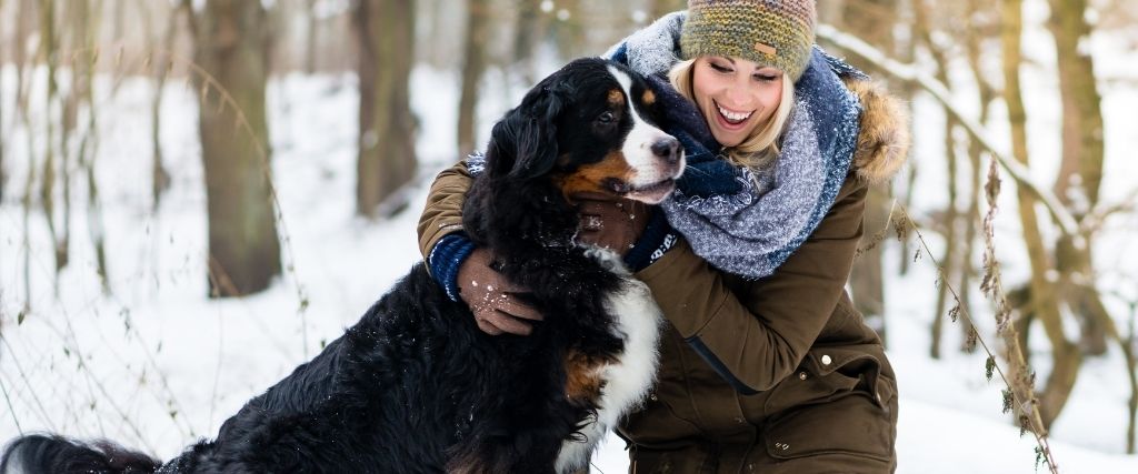 Cold Weather Exercise Tips to Keep Your Dog From Gaining the Frosty 15